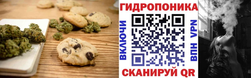 Купить закладки  Бавлы  Cannafood конопля 