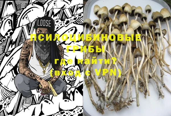 меф Ладушкин